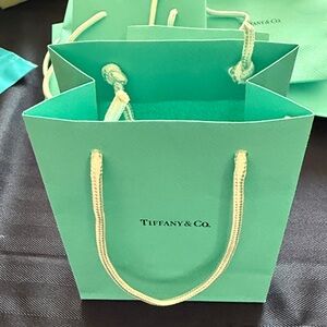 Tiffany & Co. Turquoise Shopping Bag